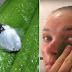 Apply Aloe Vera In Your Face For 7 Days And See The Amazing Result! Here’s How To Do It Right